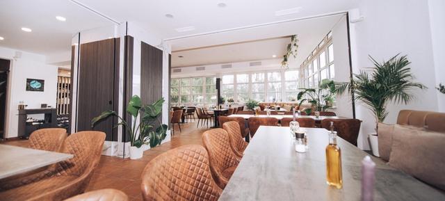 Match Bite in Berlin 3