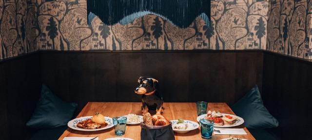 Business Dinner in Wirtshaus S´Maillinger / München 2