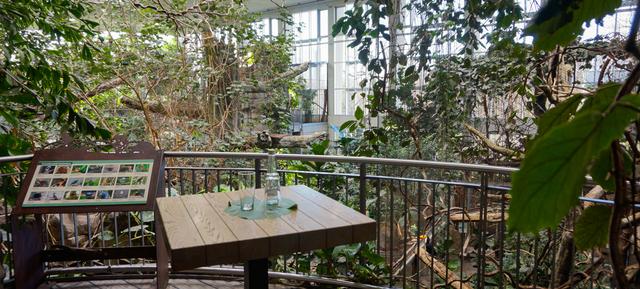 Ganztagspauschale Indigo in Marché im Zoologischen Stadtgarten Karlsruhe / Karlsruhe 4