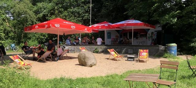 Robin am See in Hamburg 7