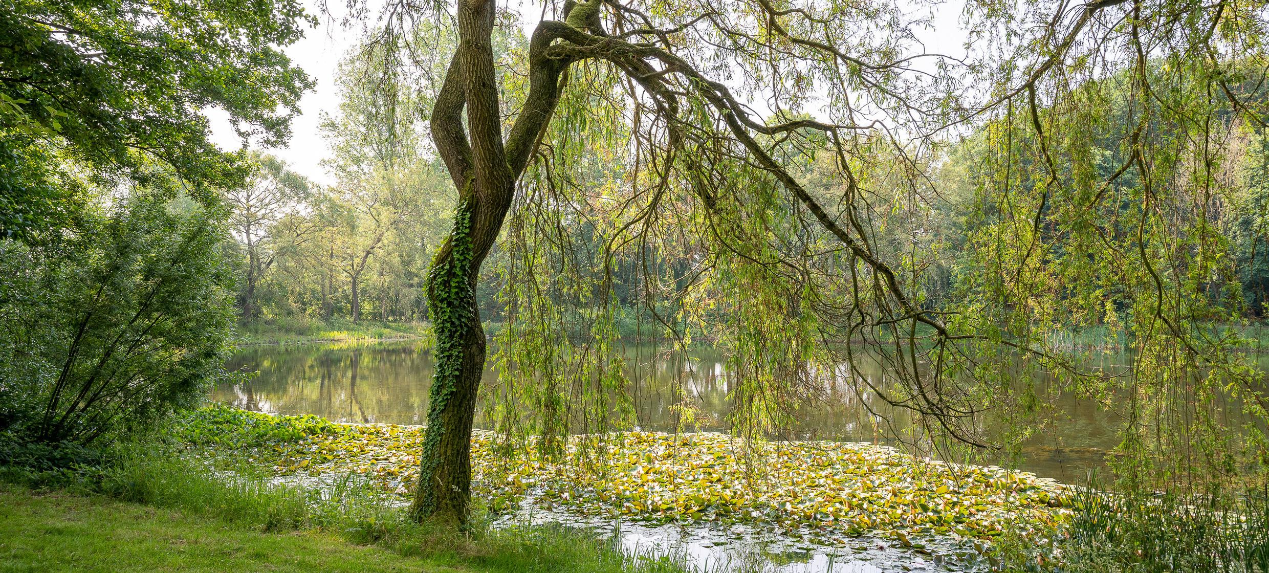 Hochzeit im Pavillon 19