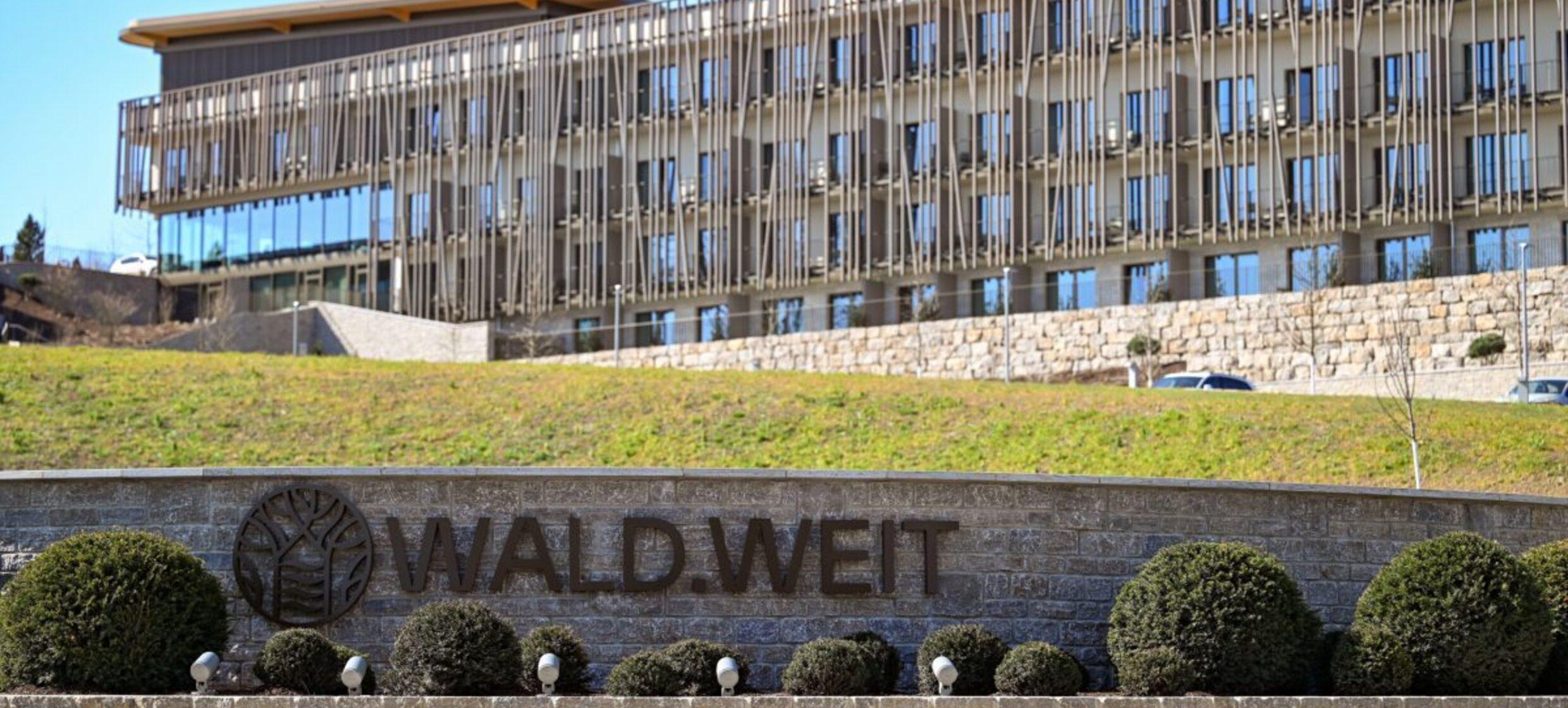 WALD.WEiT in Mainz / Umland 1