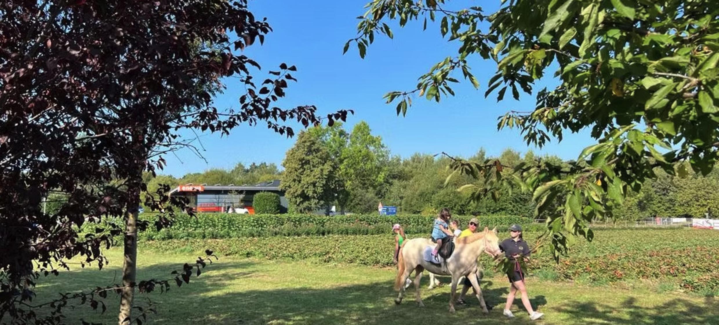Schneiders Marktscheune Wachtberg 6