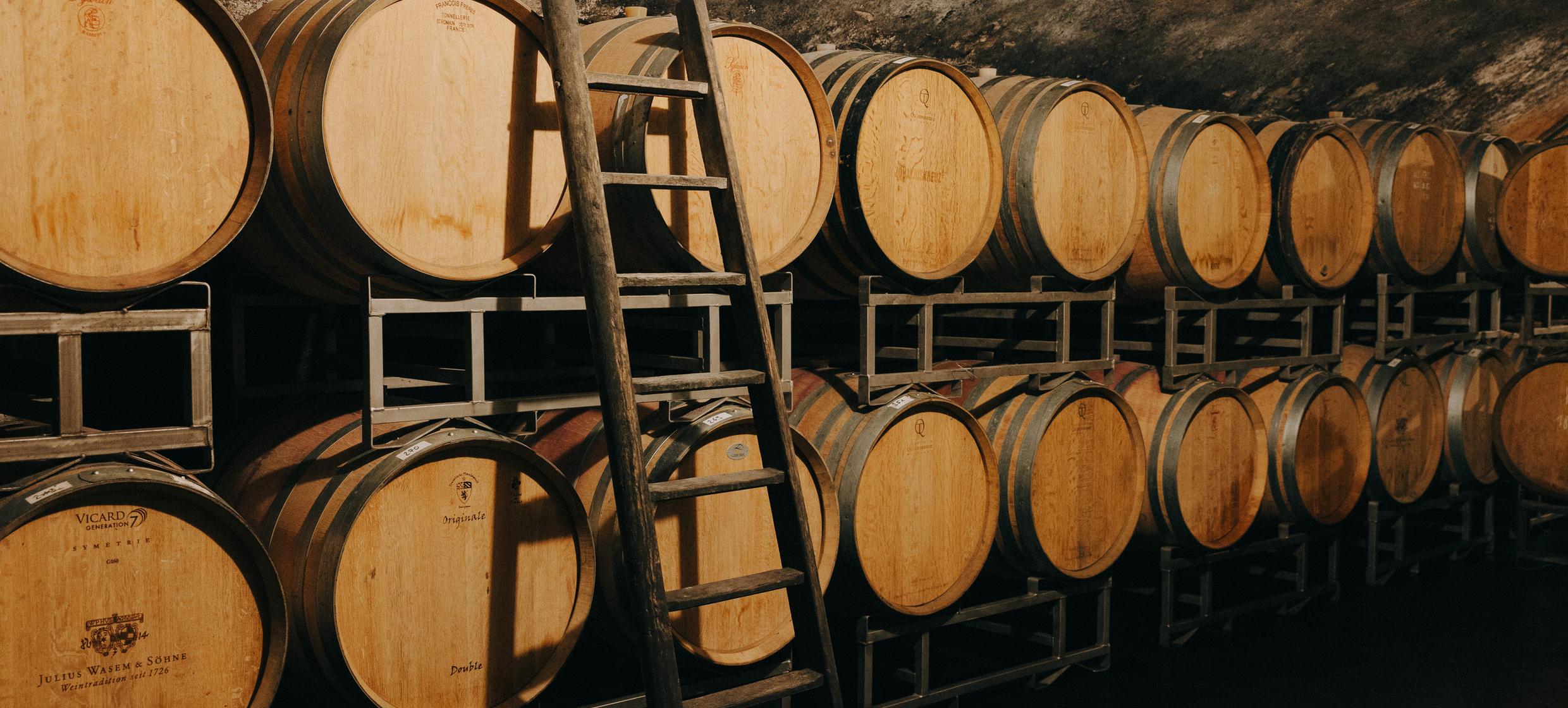 Kulinarische Weinprobe in Wasems Kloster Engelthal / Ingelheim 1