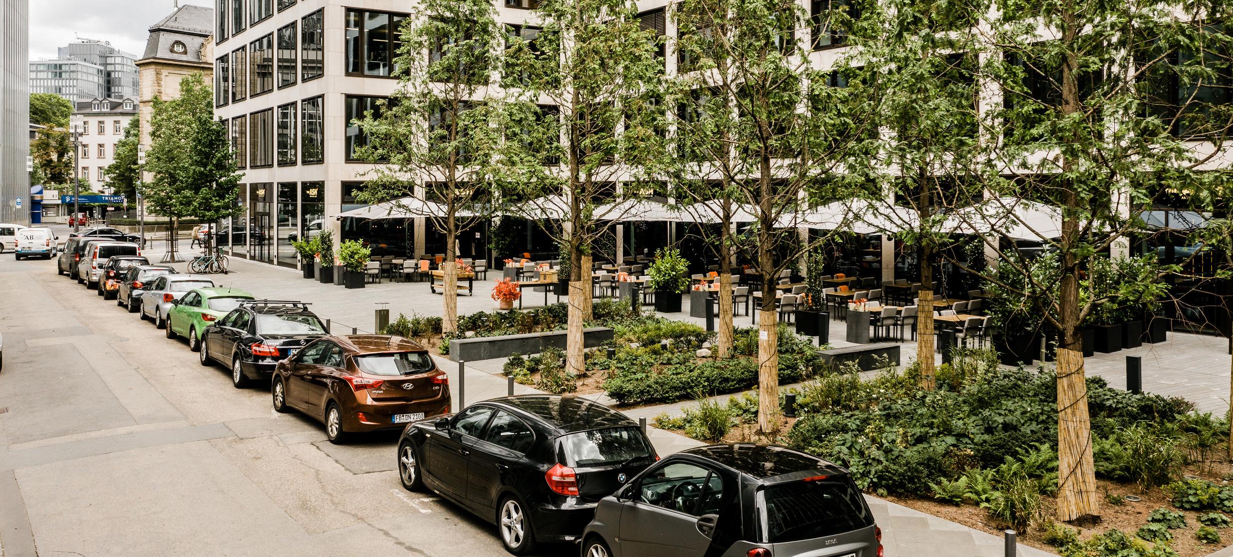 The ASH Frankfurt 15