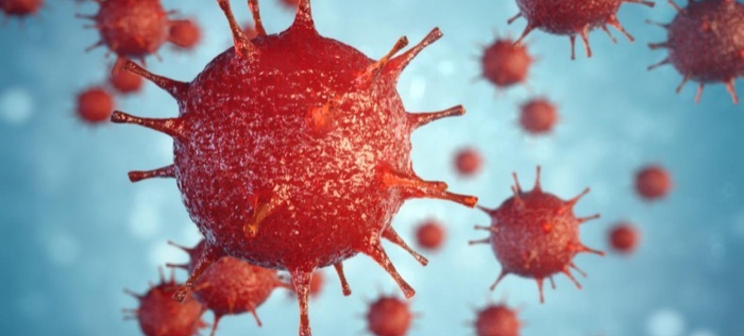 Virus Infection in anydoors 1