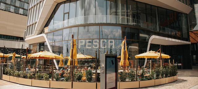 Pesca Fischrestaurant Hamburg in Hamburg 6
