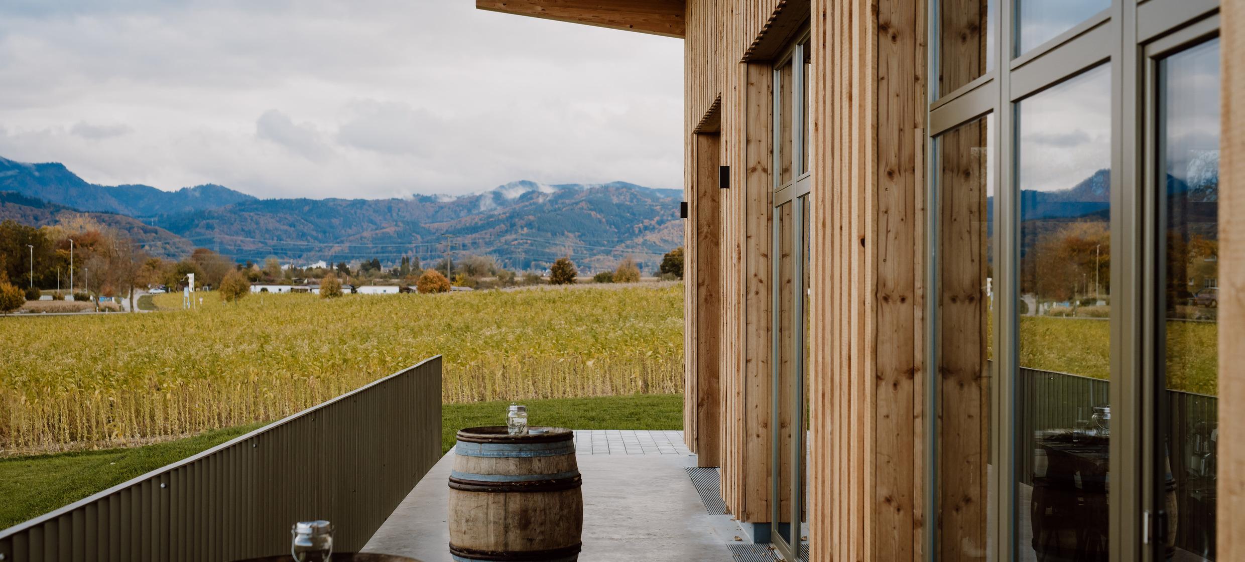 Sommerfest im Weingut Scherer&Zimmer 2