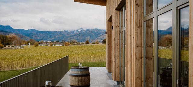 Sommerfest im Weingut Scherer&Zimmer in Weingut Scherer&Zimmer / Bad Krozingen 2