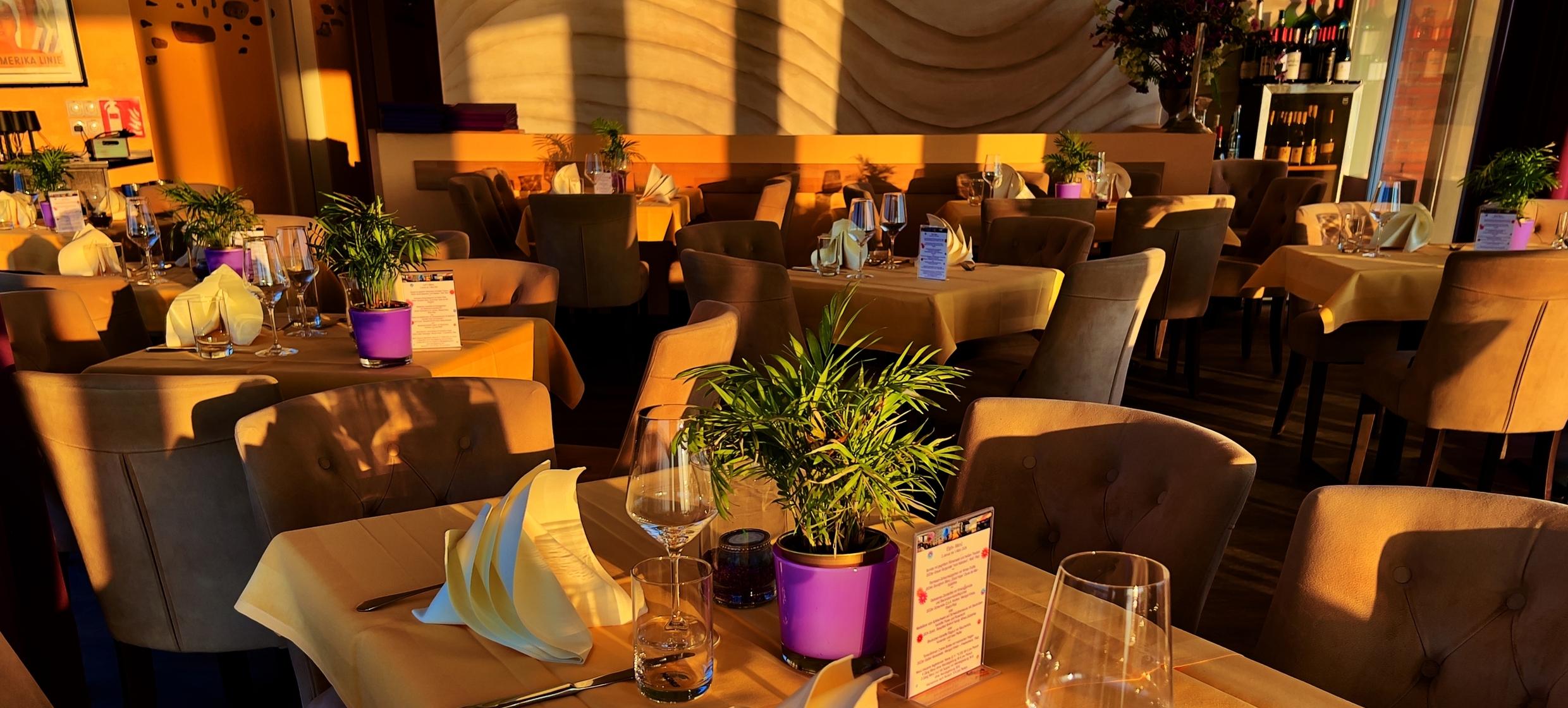 Stricker's Kehr Wieder Spitze 5