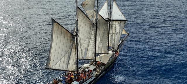 Regina Maris in Kiel 11