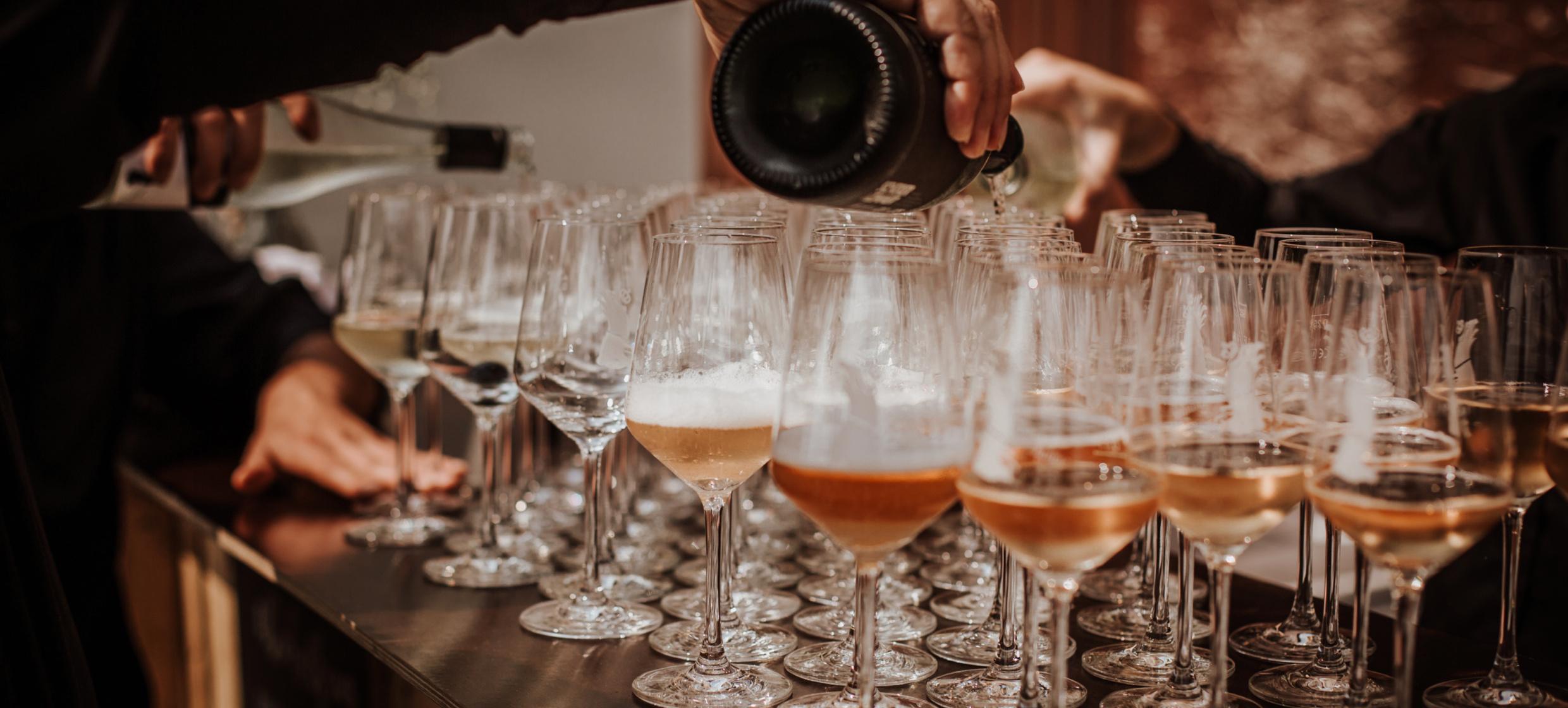 Weingut Scherer&Zimmer 7