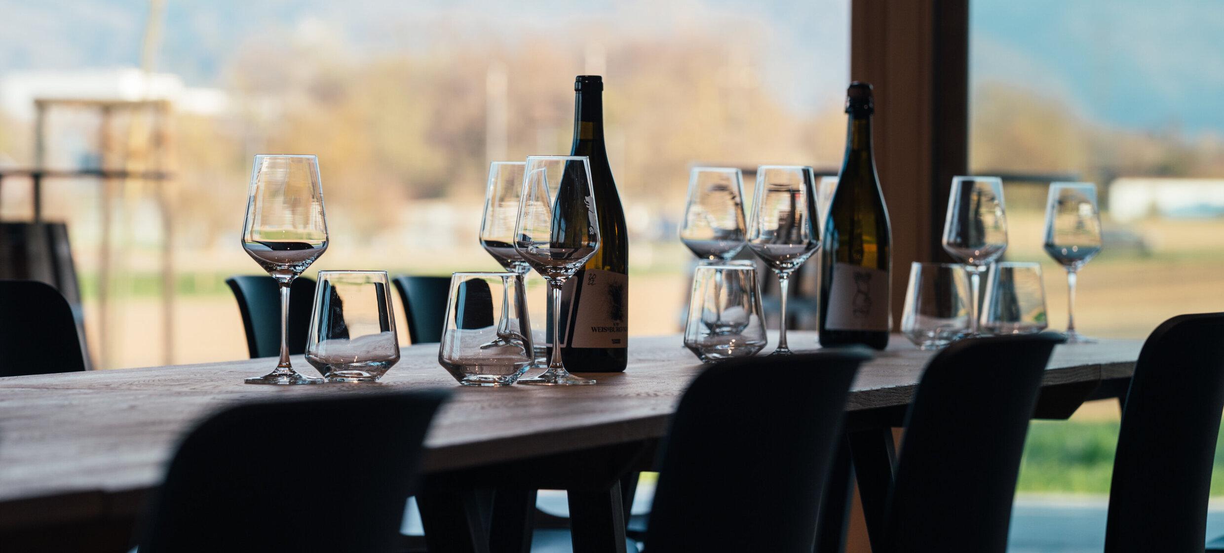 Weingut Scherer&Zimmer 10