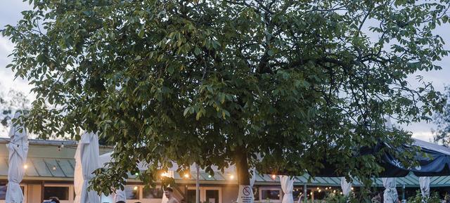 Himmel und Wasser in Wien / Donaustadt 18