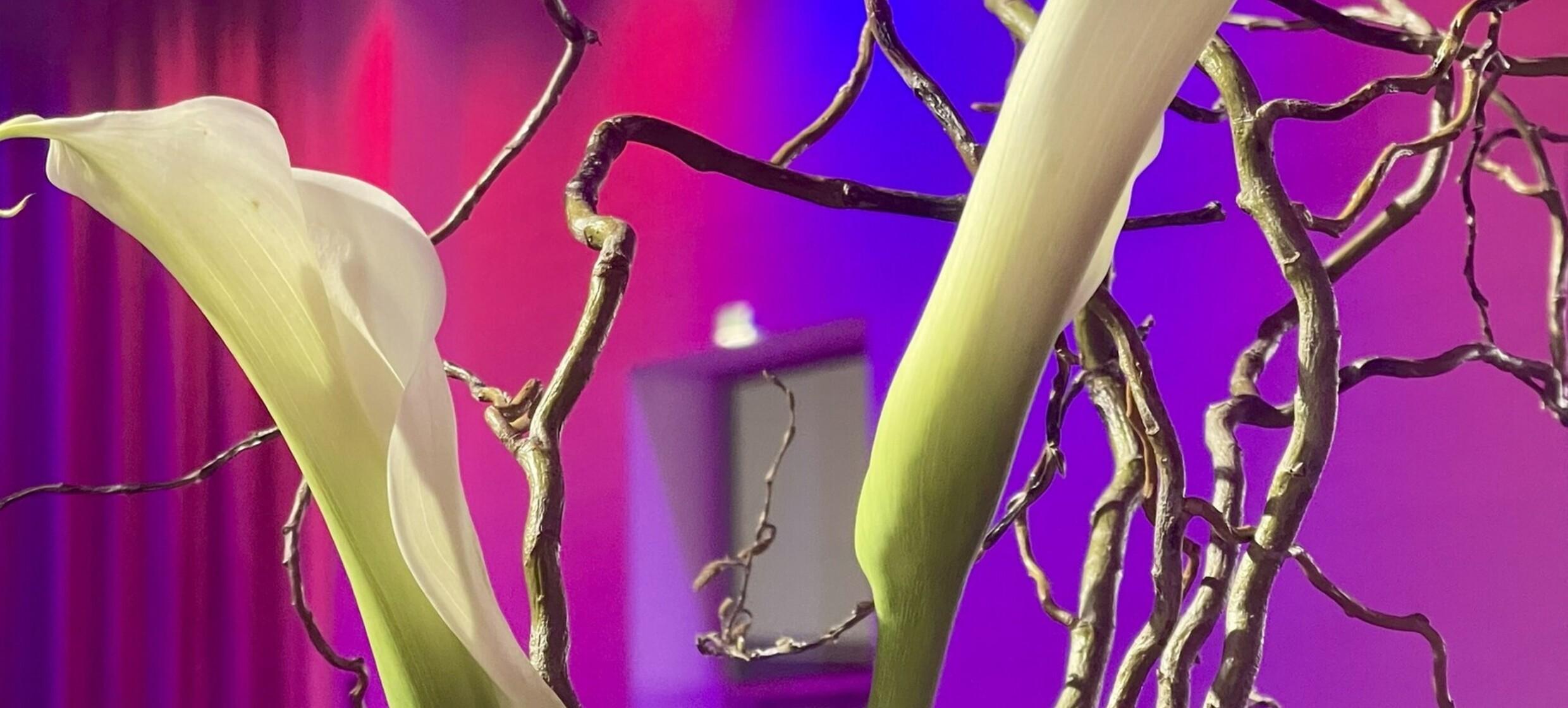 ARIANA Event Location 6