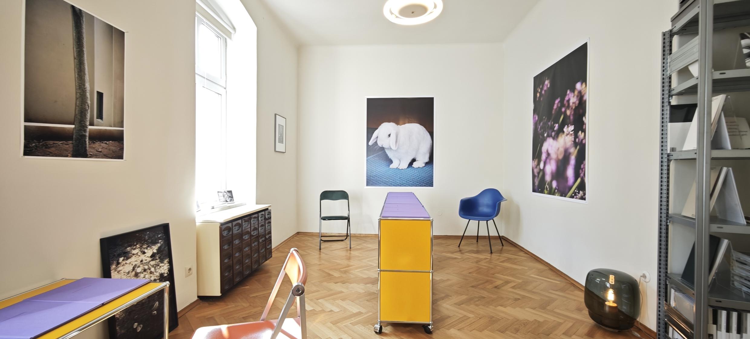 Der Stöbich am Taubenmarkt 5