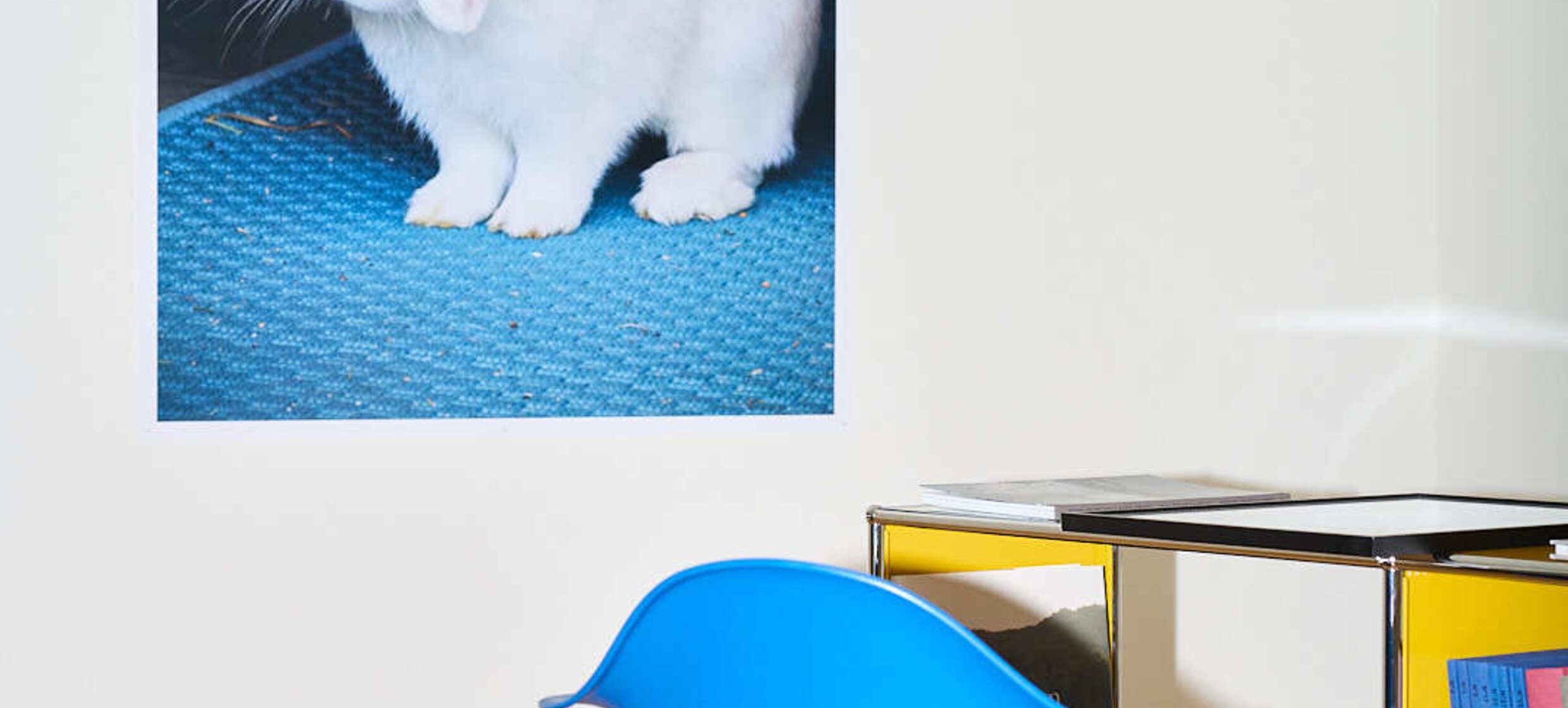 Der Stöbich am Taubenmarkt 18