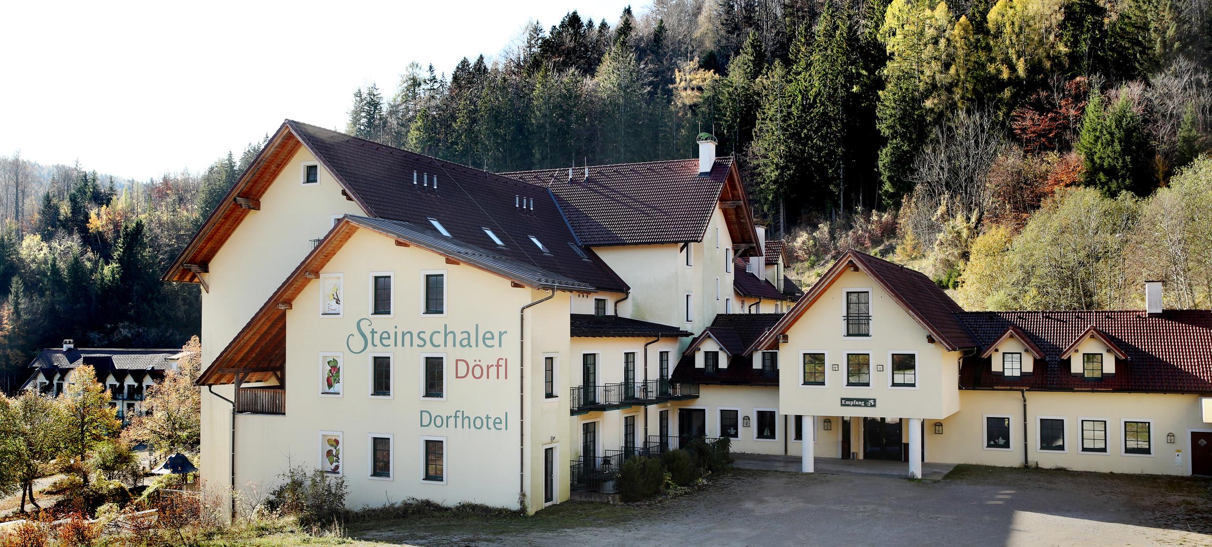 Foto von Steinschaler Dörfl