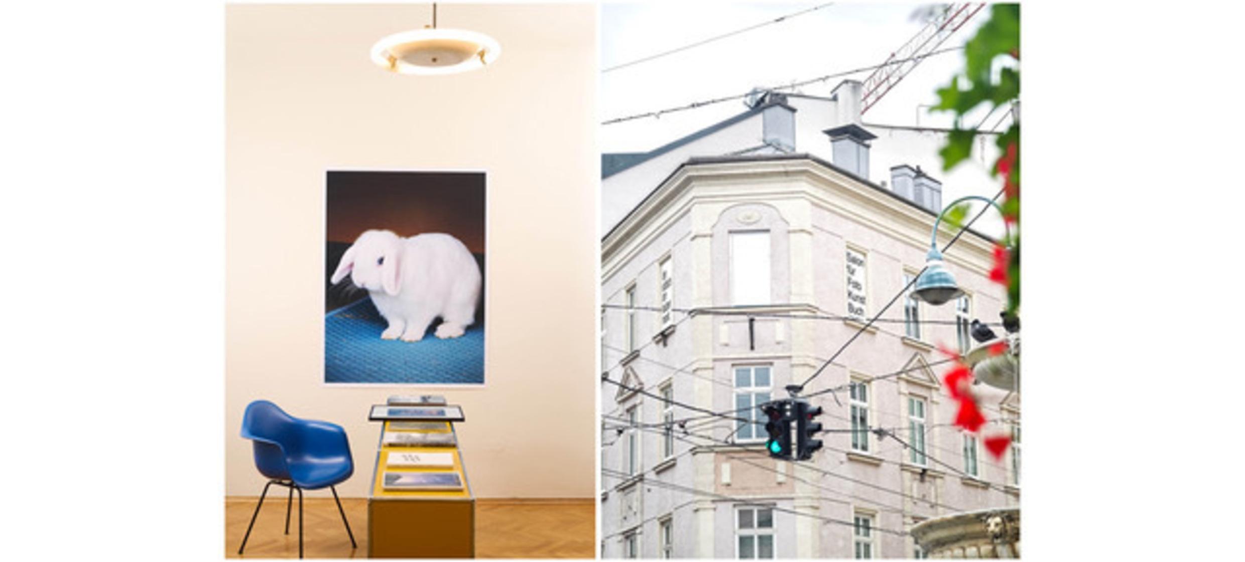 Der Stöbich am Taubenmarkt 10