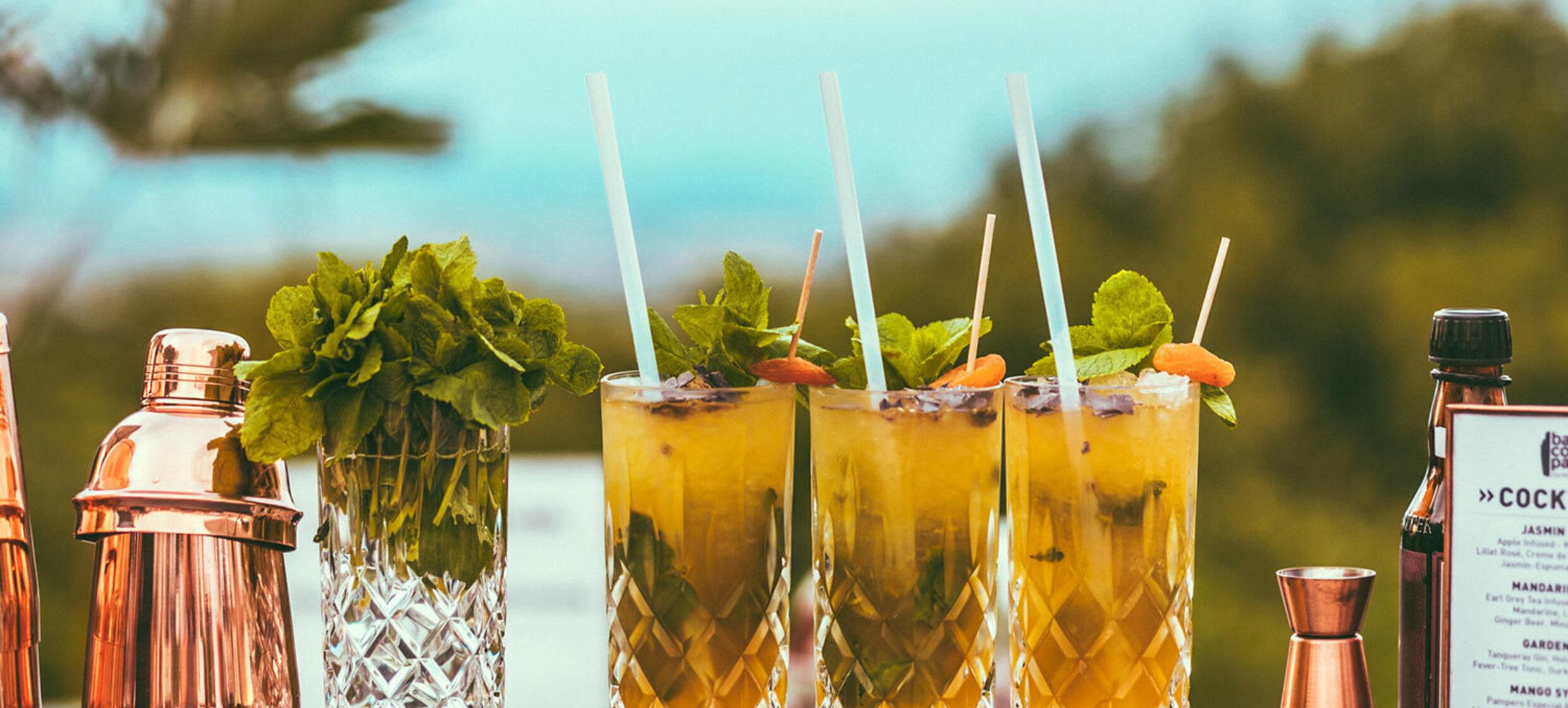 Mobile Bar & Cocktail Catering mit Erlebnisfaktor | studio 67 Wien 3