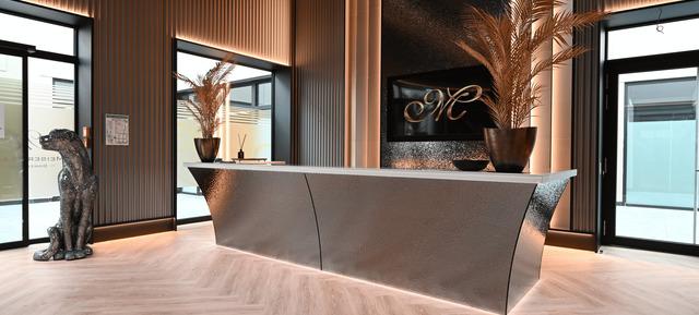 Firmenfeier im Meiser Design Hotel in Dinkelsbühl in Meiser Design Hotel in Dinkelsbühl / Dinkelsbühl 2