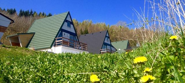 Herzkompass in Erfurt 9