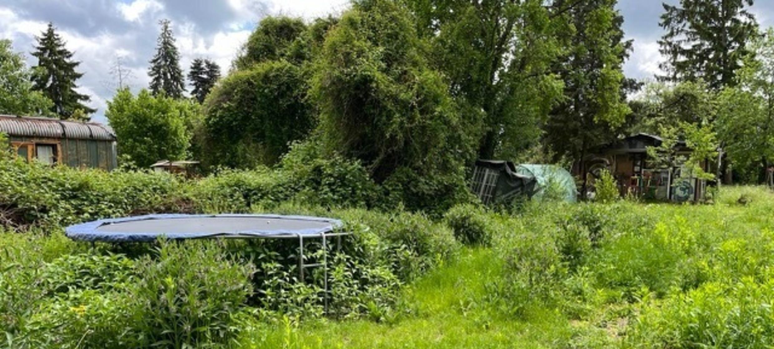 Der Seminar-Garten "Paradies & Das" 16