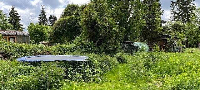 Der Seminar-Garten "Paradies & Das" in Offenbach 16