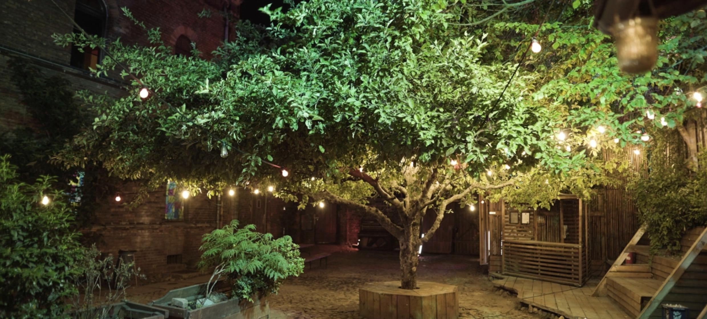 ÆSTATE – The Afterwork Summer Garden Experience