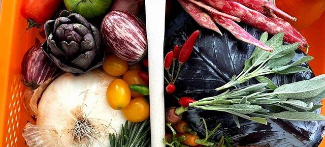 PlantAmour Foodlab in Hamburg 3