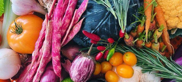 Holistic Belly Day Retreat + Yoga Holistic Belly Day Retreat + Yoga in PlantAmour Foodlab 2