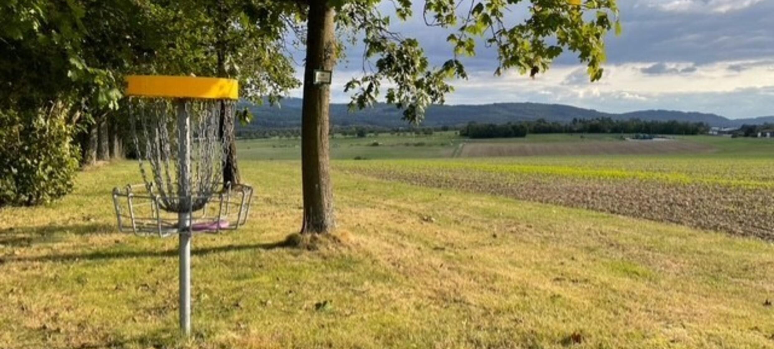 Disc Golf in Waldherberge Sargenroth / Sargenroth 1