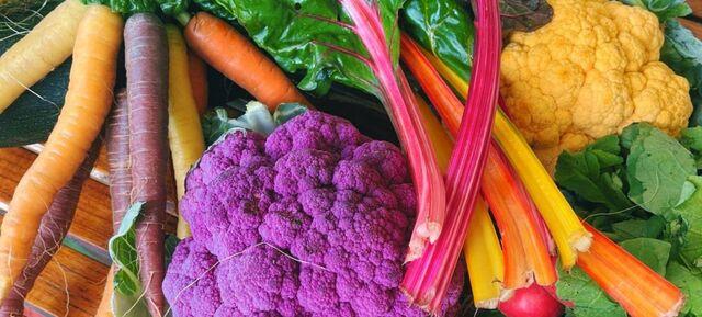 Longevity, Ernährung und Wohlbefinden im Arbeitsalltag in PlantAmour Foodlab 2
