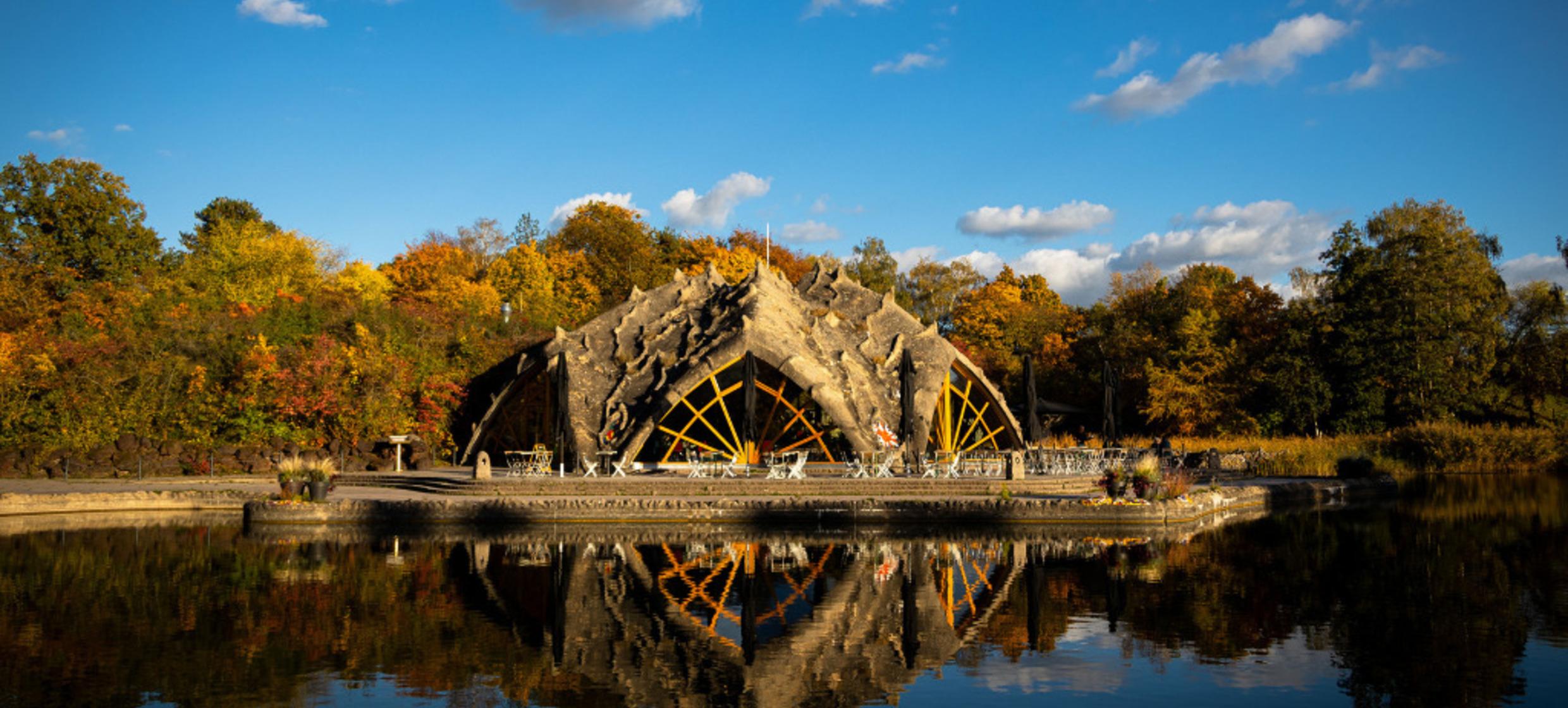 Seestern Britzer Garten in Berlin / Neukölln 1