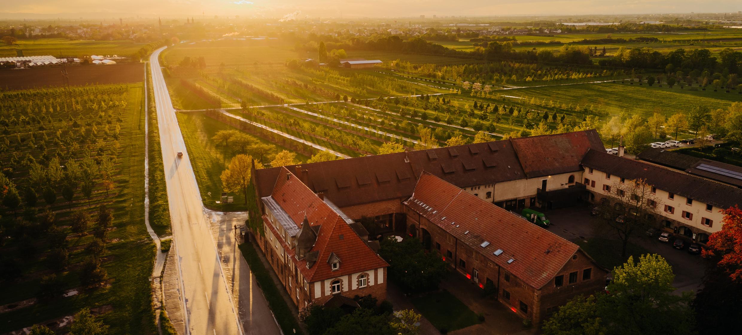 Gutshof Ladenburg 17