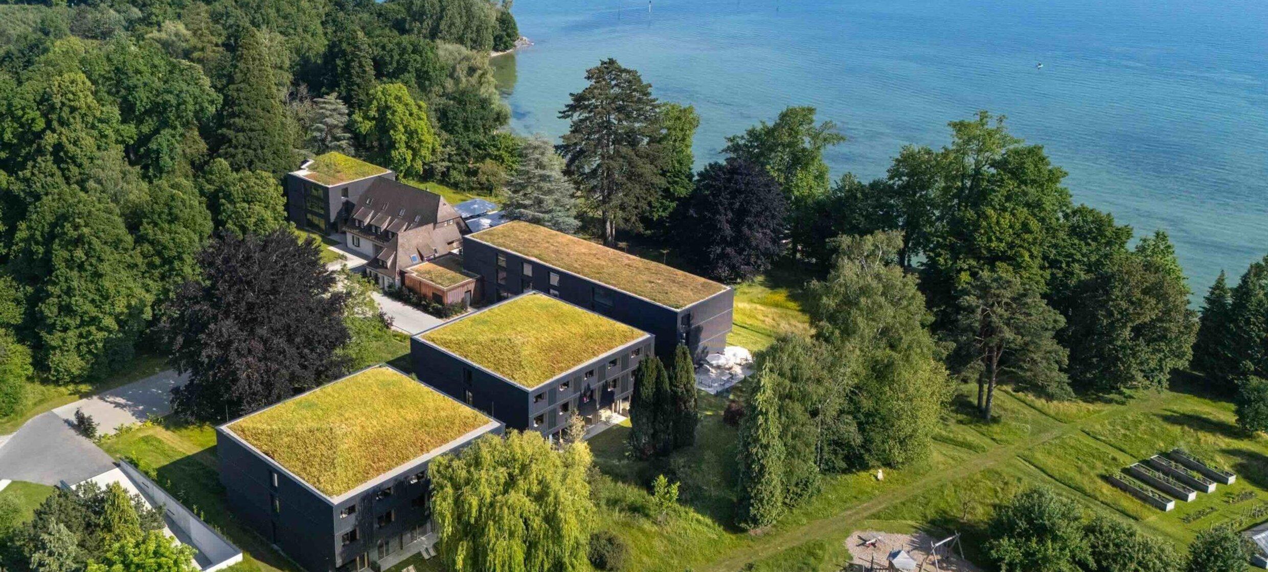 Seegut Zeppelin 7
