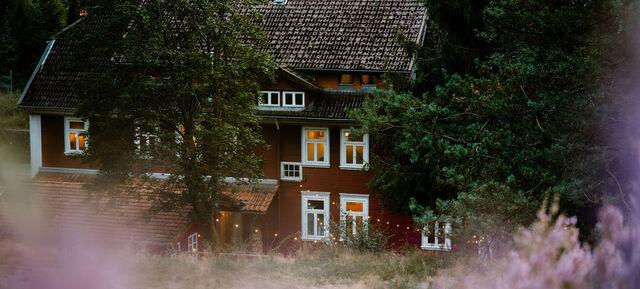 Drei auf einen Streich – Erlebniswanderung & Teambuilding im Harz in Waldatelier / Clausthal-Zellerfeld 2