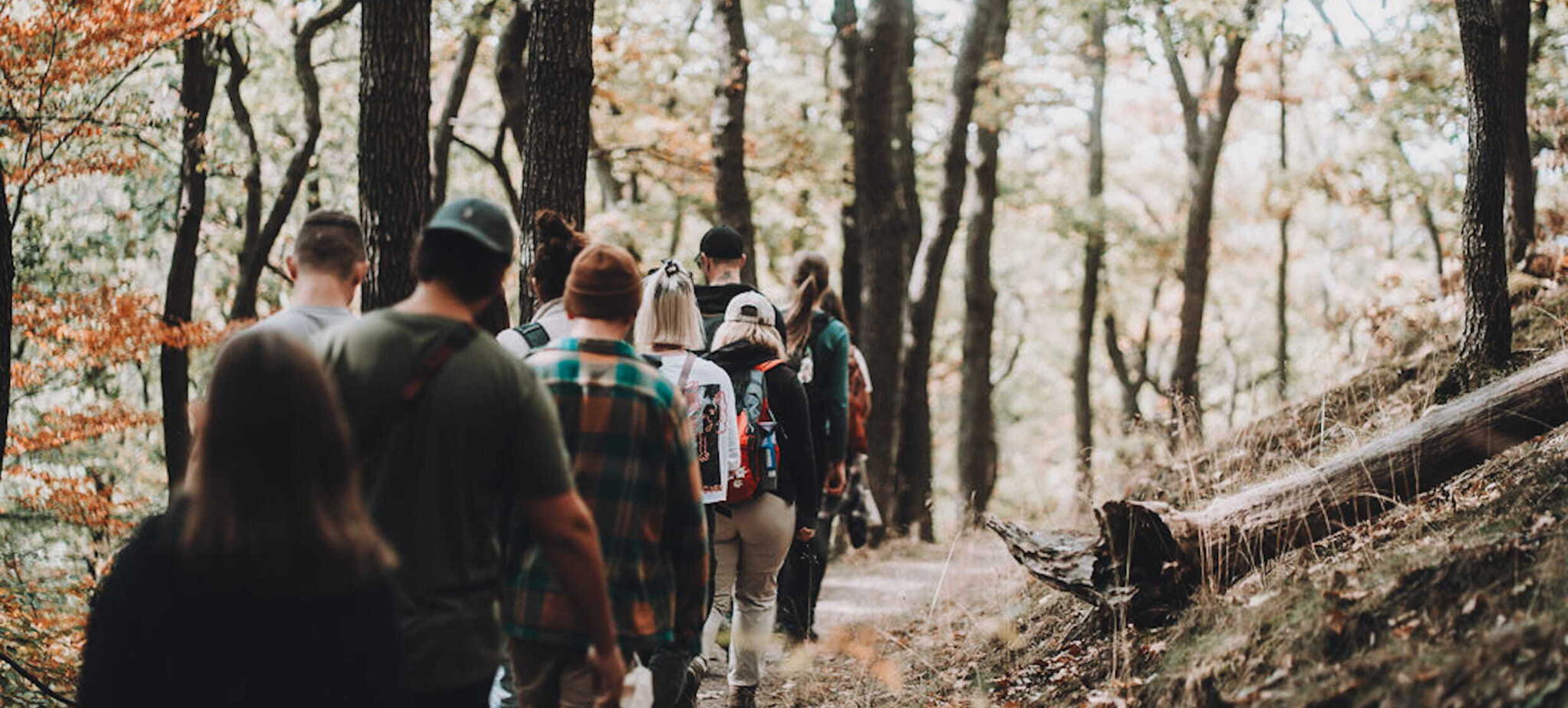 Drei auf einen Streich – Erlebniswanderung & Teambuilding im Harz in Waldatelier / Clausthal-Zellerfeld 1