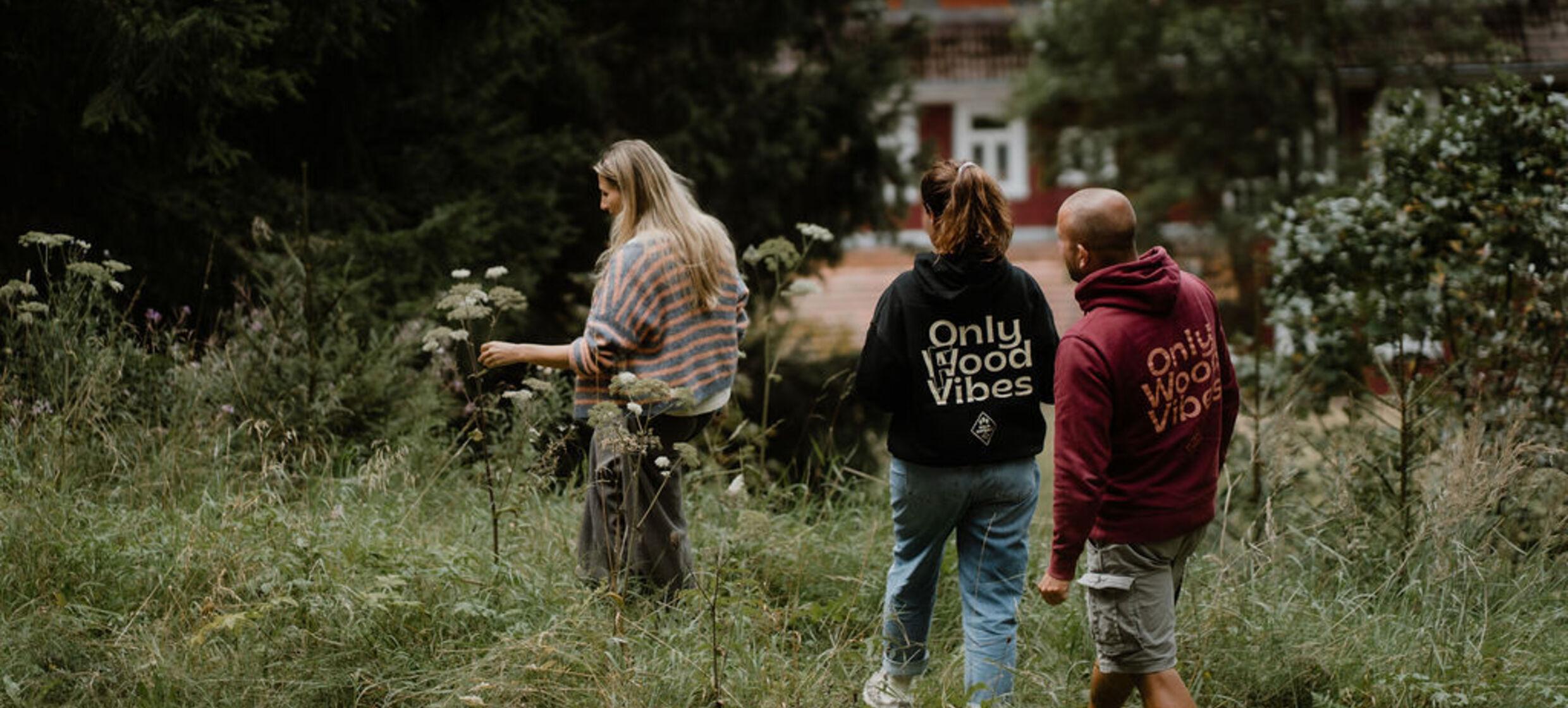 Wild auf Kräuter – Kräuterwanderung & Naturworkshop im Harz 4