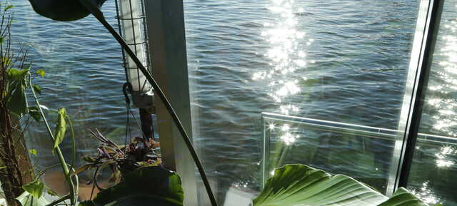 Stilvolles Sommerfest auf dem Wasser in Berlin in WildKraut Eventschiff | Stilvolle Privatevents und Firmenfeiern auf dem Wasser in Berlin / Berlin 3